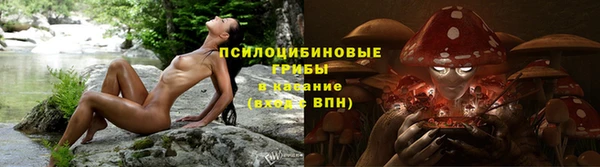 бутират Алексеевка
